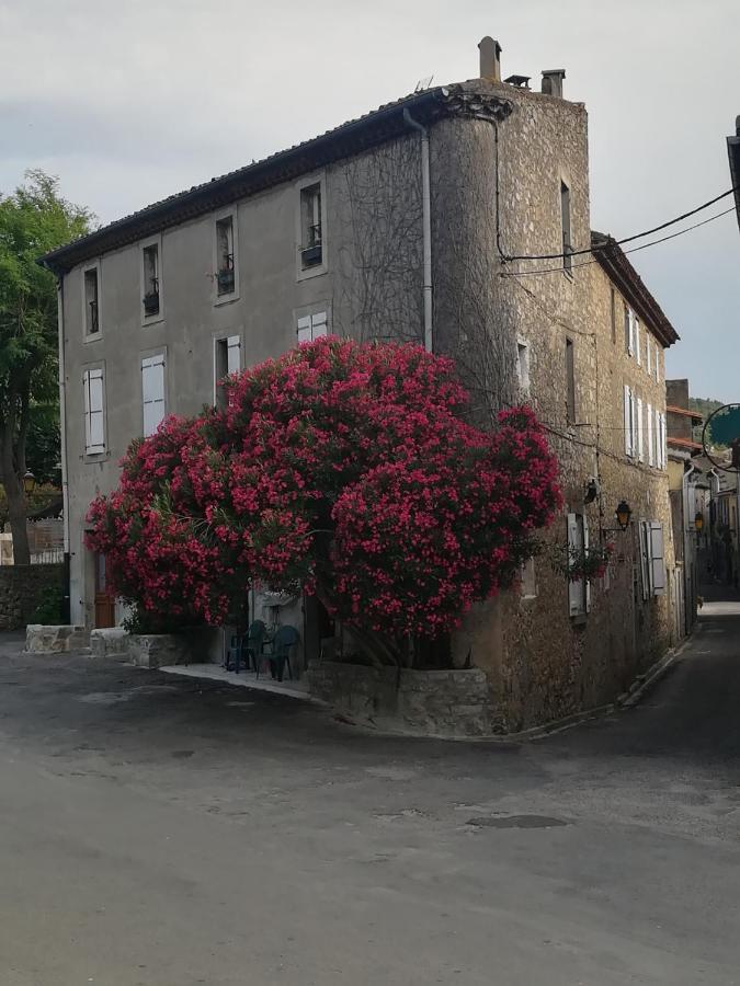 Chez Shona Hotel Lagrasse Bagian luar foto